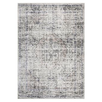 Distressed Area Rug Machine Washable Non Slip Vacuum Clean Floor Cover for Living Room Laundry