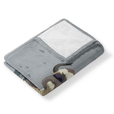 Nickelodeon Avatar The Last Airbender Appa Freedom Silk Touch Throw Blanket 50x60 inches