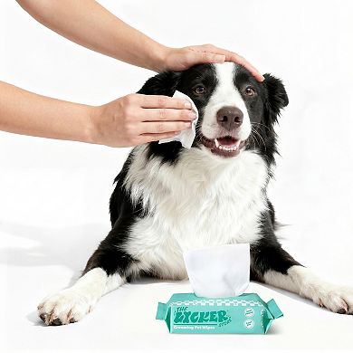 Mini Dog Body Hypoallergenic Wipes with Extracts of Aloe Vera Leaf