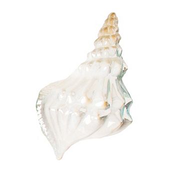 Home Essentials Iridescent Seashell Figurine Table Decor