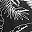 Palm Leaf Black