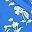 Blue White Flower
