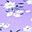 Purple White Flower