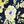 Navy Yellow