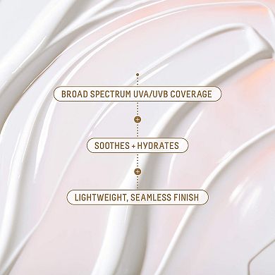 Daily Hydration Mineral Face Sunscreen SPF 50 + Squalane