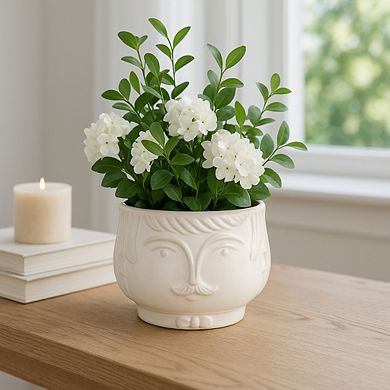 Ceramic Decorative Round Plant Pot - 5" White