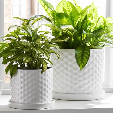 Planter Set Ceramic Raised Dot Texture Gloss Finish Indoor/Outdoor Use Set of 2 - 10", 9" White