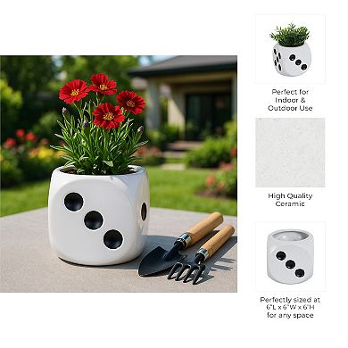 Decorative Ceramic Dice Flower Pot for Home Decor - Indoor and Outdoor - 6", White & Black