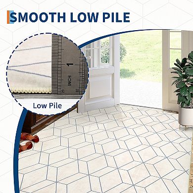 ANIXOL Vintage Washable Area Rug Soft Oriental Distressed Runner for Home