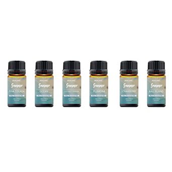 6 pc Summer Vibe Fresh Scented Aromatherapy Essential Oil Set