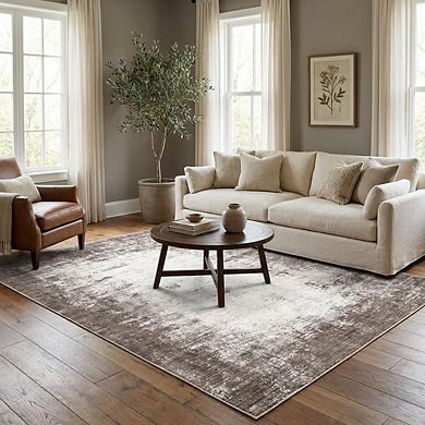 Abstract Area Rug Machine Washable Low Pile Pet Friendly Foldable Floor Cover for Living Room