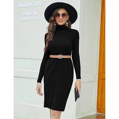 Women's High Neck Sweater Dress Long Sleeve