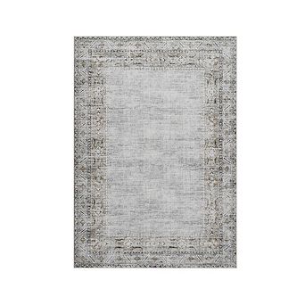 Distressed Area Rug Machine Washable Vacuum Clean Ultra Thin Stain Resistant Carpet for Bedroom