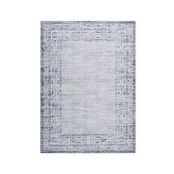 Distressed Area Rug Machine Washable Vacuum Clean Ultra Thin Stain Resistant Carpet for Bedroom