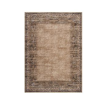Distressed Area Rug Machine Washable Vacuum Clean Ultra Thin Stain Resistant Carpet for Bedroom