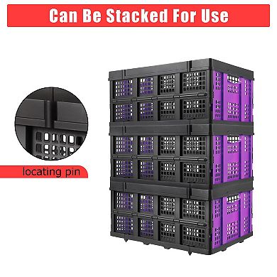 55L Collapsible Storage Crate