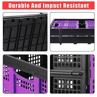 55L Collapsible Storage Crate