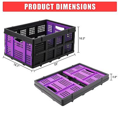 55L Collapsible Storage Crate