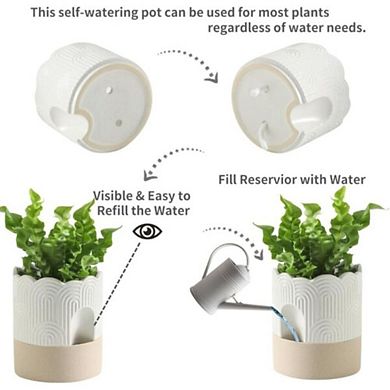 Ceramic Self Watering Planter With Drainage