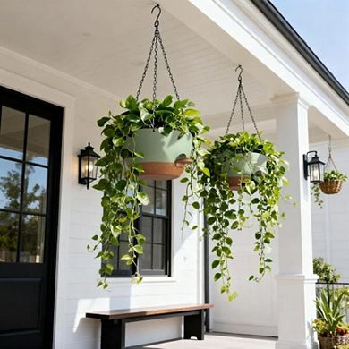 2-Pieces Green Self Watering Hanging Planters