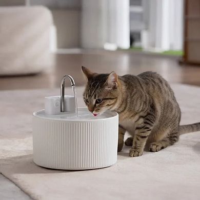 Faucet Style Pet Water Fountain