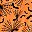 Orange Web