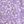 Purple White Flower