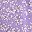 Purple White Flower