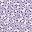 Purple Flower