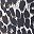 Leopard Black