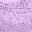 Bellflower Purple