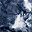 Blue White Print