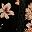 Black Floral