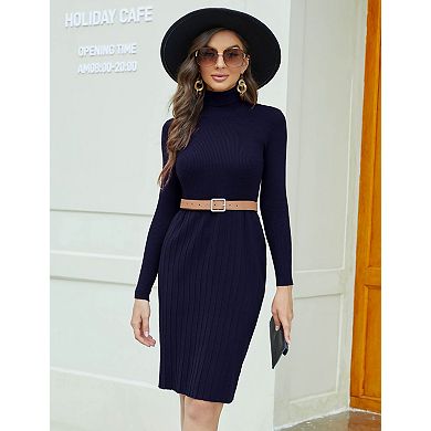 Women's High Neck Sweater Dress Long Sleeve