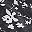 Flower Black