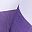 Purple Zephyrlily