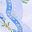 Flowers Blue