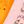 Orange Rabbit