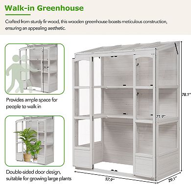 Whisen Walk-in Wooden Greenhouse with 4 Independent Skylights and 2 Folding Middle Shelves