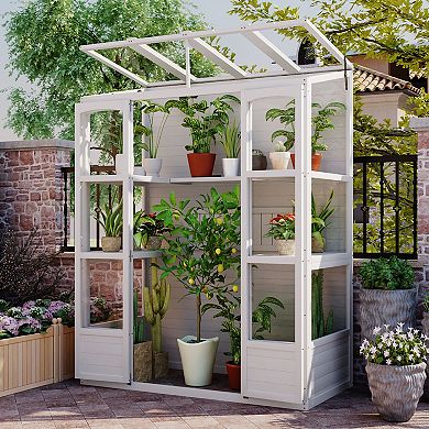 Whisen Walk-in Wooden Greenhouse with 4 Independent Skylights and 2 Folding Middle Shelves
