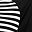 Black White