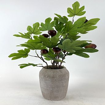 Sonoma Goods For Life® Artificial Fig Plant Table Decor