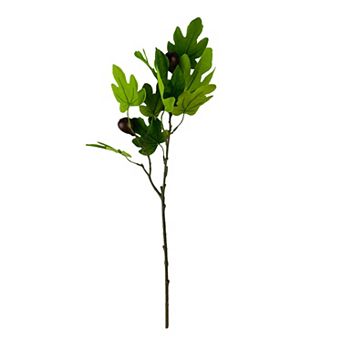 Sonoma Goods For Life® Fig Spray with Fruit