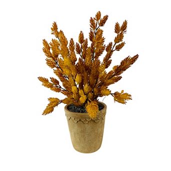 Sonoma Goods For Life® Deluxe Artificial Autumn Hops Arrangement in Ceramic