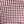 Maroon Gingham