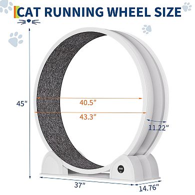 Indoor 45" Cat Exercise Wheel, Pet Large Cat Treadmill Wheel with Detachable Carpeted Runway