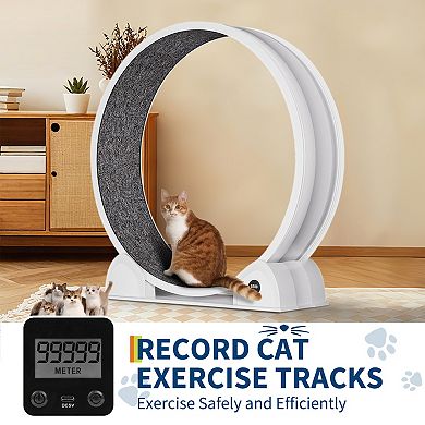 Indoor 45" Cat Exercise Wheel, Pet Large Cat Treadmill Wheel with Detachable Carpeted Runway