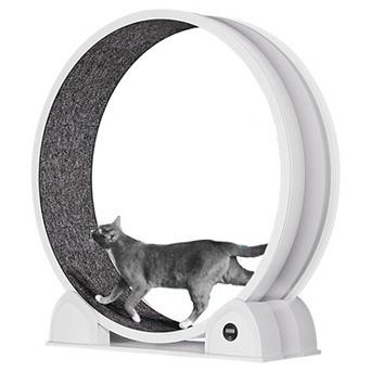 Indoor 45" Cat Exercise Wheel, Pet Large Cat Treadmill Wheel with Detachable Carpeted Runway