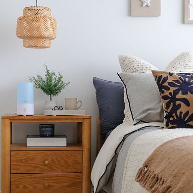 Crane Warm Mist Humidifier, 0.5 Gallon Tank, Steam Treatment