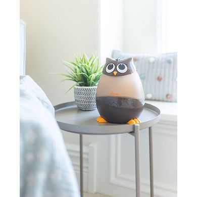 Adorable Humidifier, Mini Owl, Cool Mist Humidifier with Vapor Tray, 0.5 Gal.